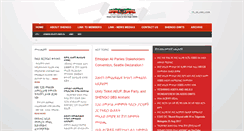 Desktop Screenshot of ethioshengo.org